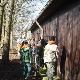 thumb IMG 3634 1024 - Scouts en Gidsen Zaventem 
